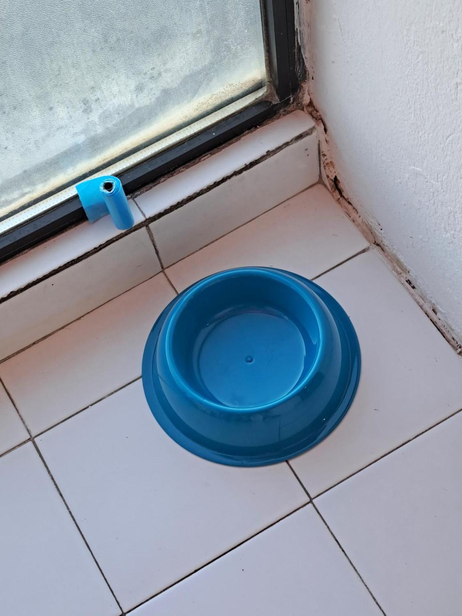 Appartamento Giotto - Free Parking Livorno Exteriör bild